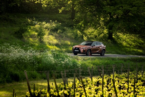 Lexus UX 2024