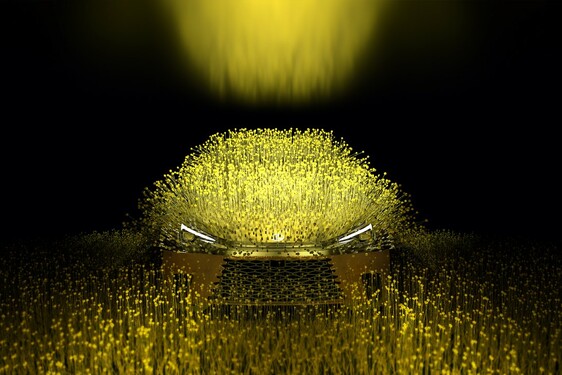 LEXUS ART CAR PO RAZ ÓSMY