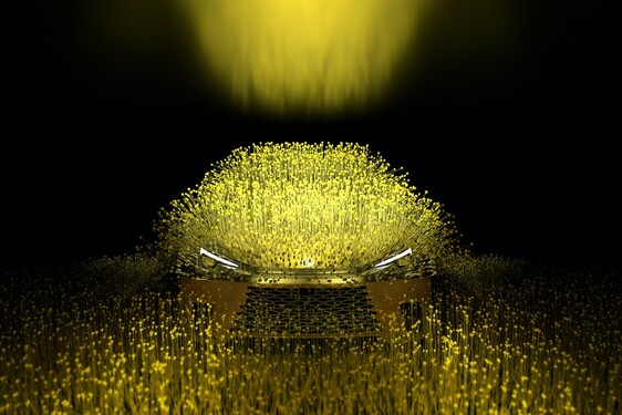 LEXUS ART CAR PO RAZ ÓSMY
