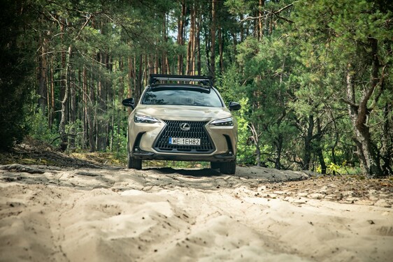 Lexus NX 2022