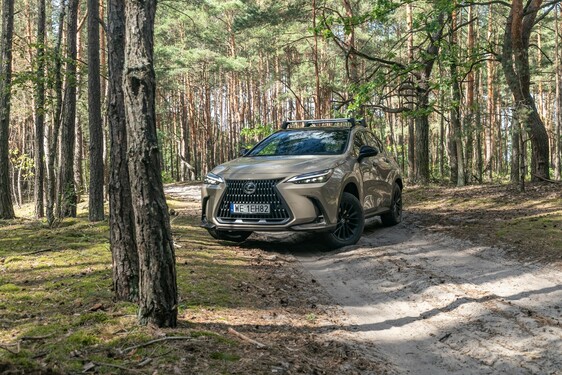 Lexus NX 2022