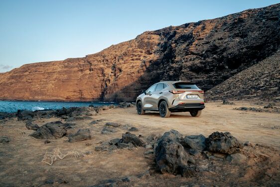 Lexus NX 2022