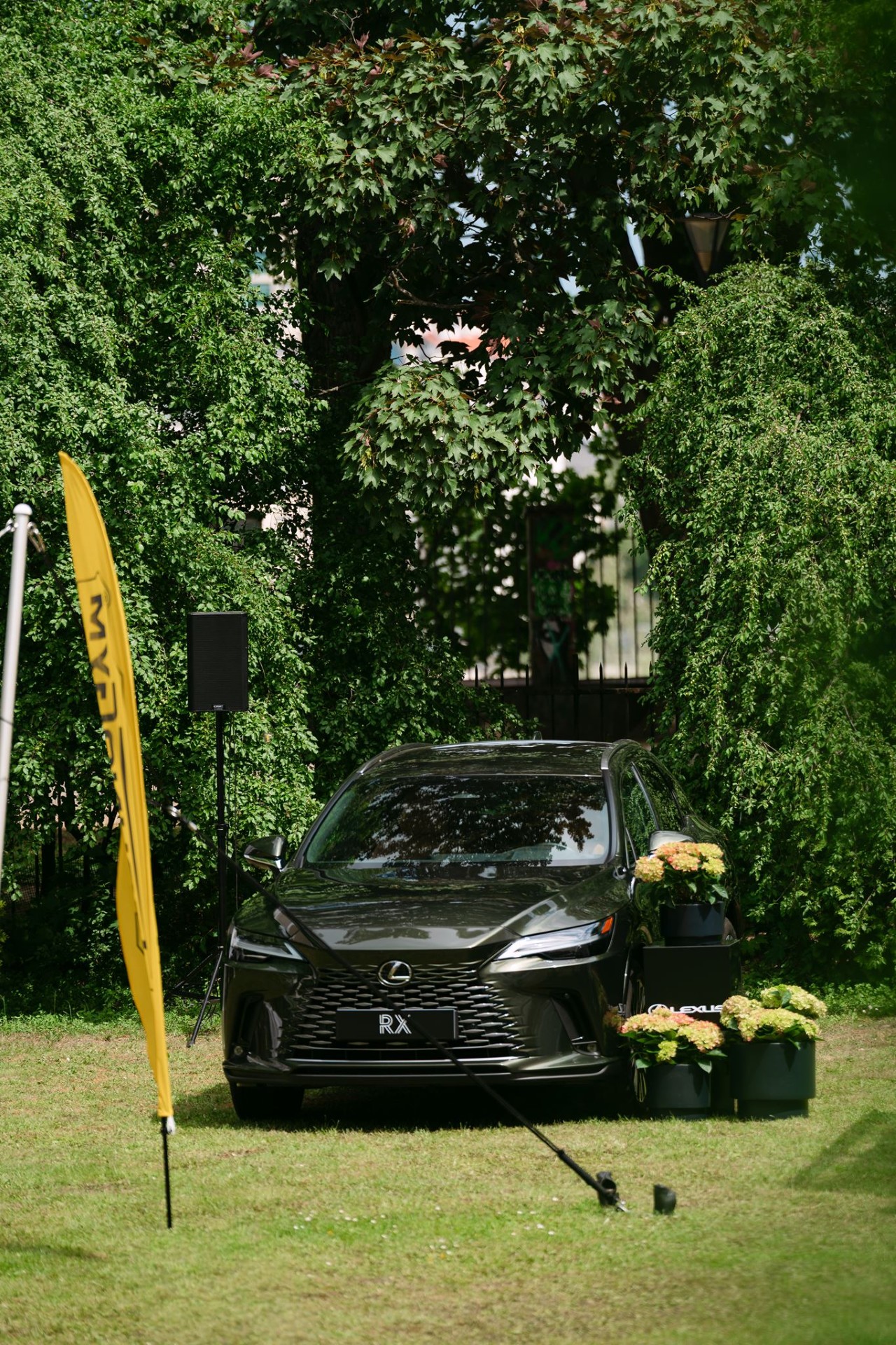 LEXUS PARTNEREM MOTORYZACYJNYM LAZY SUNDAY, CHARYTATYWNEGO WYDARZENIA Z CYKLU TOP CHARITY