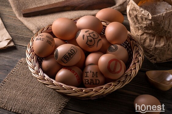 HONEST EGG