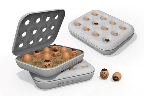 HONEST EGG