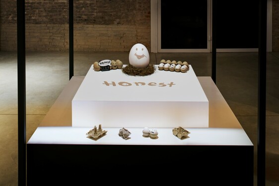 HONEST EGG