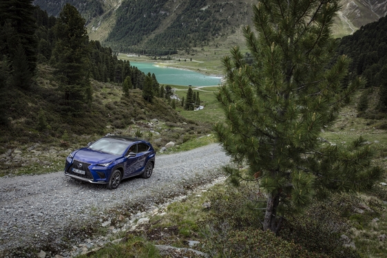 NX 300h 2018
