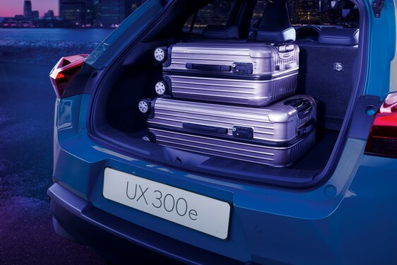 UX 300e