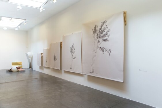 MENTOR SAM BARON WORK IMAGES