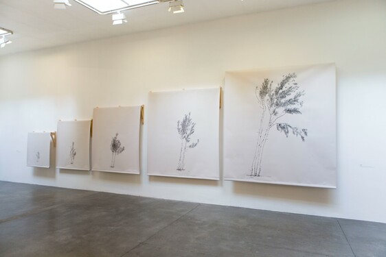 MENTOR SAM BARON WORK IMAGES