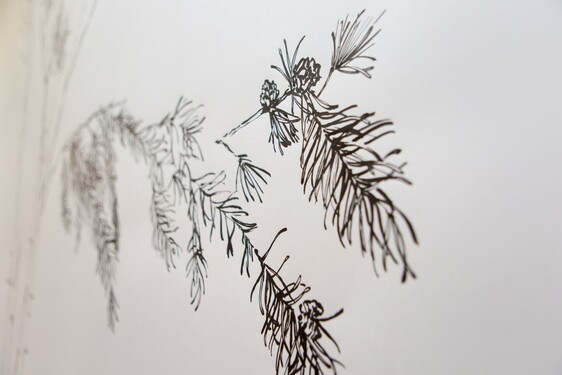 MENTOR SAM BARON WORK IMAGES