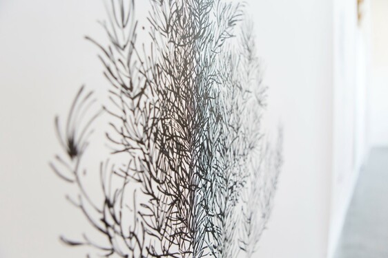 MENTOR SAM BARON WORK IMAGES