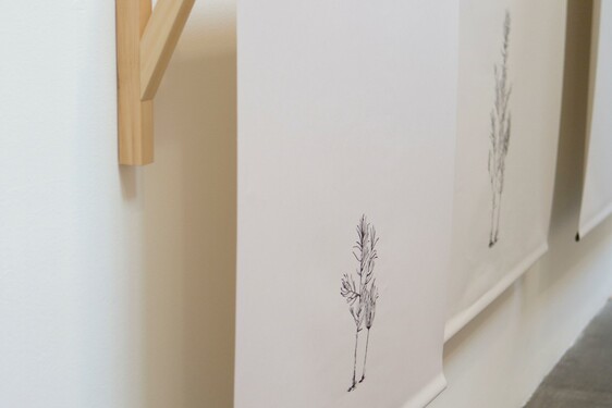 MENTOR SAM BARON WORK IMAGES
