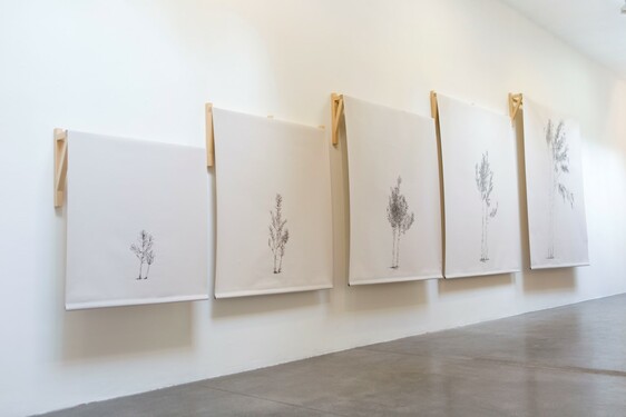 MENTOR SAM BARON WORK IMAGES