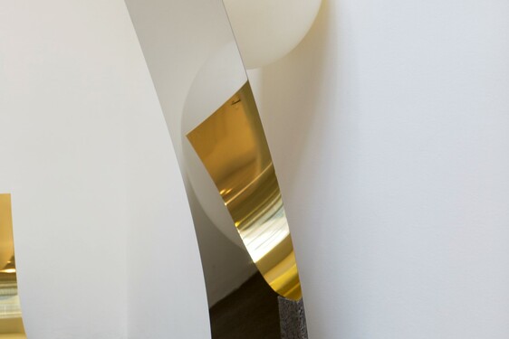 MENTOR SAM BARON WORK IMAGES