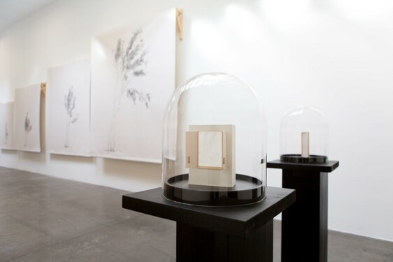 MENTOR SAM BARON WORK IMAGES