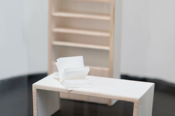 MENTOR SAM BARON WORK IMAGES