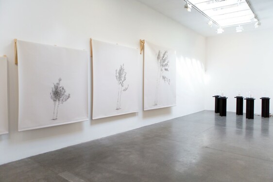 MENTOR SAM BARON WORK IMAGES