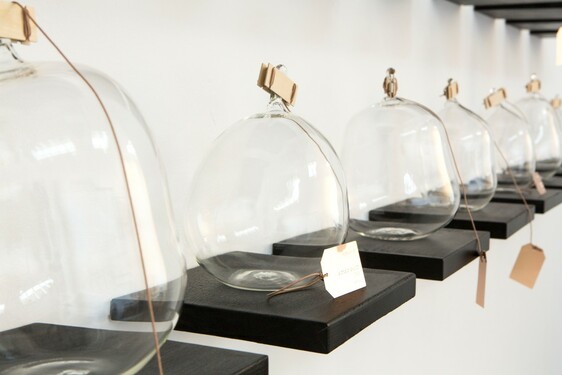 MENTOR SAM BARON WORK IMAGES