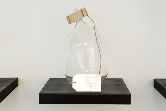 MENTOR SAM BARON WORK IMAGES