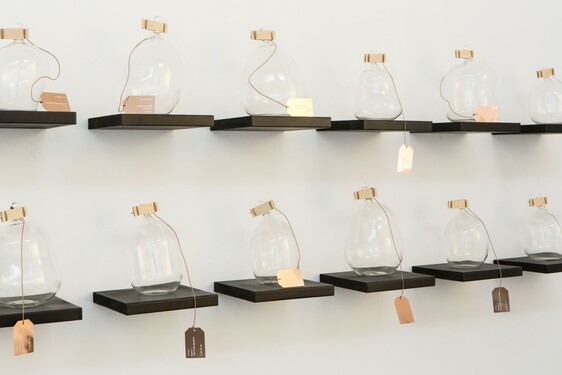 MENTOR SAM BARON WORK IMAGES