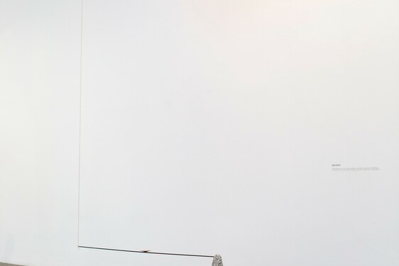 MENTOR SAM BARON WORK IMAGES