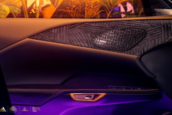 LEXUS RX WEDŁUG ADIDASA