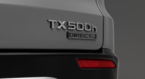 TX 2024