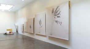 MENTOR SAM BARON WORK IMAGES