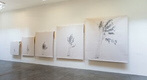 MENTOR SAM BARON WORK IMAGES