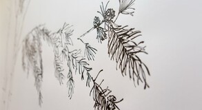MENTOR SAM BARON WORK IMAGES