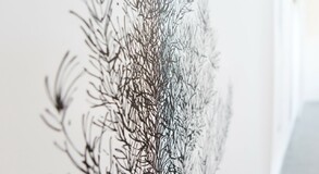 MENTOR SAM BARON WORK IMAGES