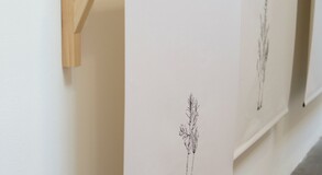 MENTOR SAM BARON WORK IMAGES