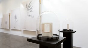 MENTOR SAM BARON WORK IMAGES