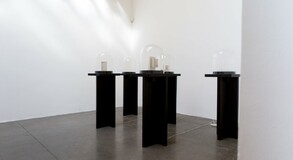 MENTOR SAM BARON WORK IMAGES
