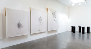 MENTOR SAM BARON WORK IMAGES