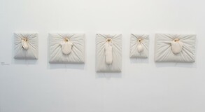 MENTOR SAM BARON WORK IMAGES