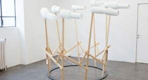 MENTOR SAM BARON WORK IMAGES