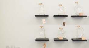 MENTOR SAM BARON WORK IMAGES