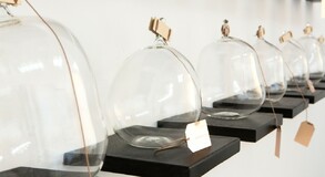 MENTOR SAM BARON WORK IMAGES