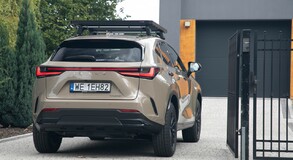 Lexus NX 2022