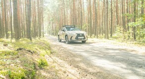 Lexus NX 2022