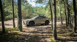 Lexus NX 2022