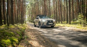 Lexus NX 2022