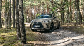 Lexus NX 2022