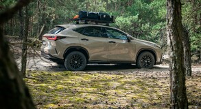 Lexus NX 2022