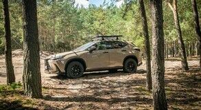 Lexus NX 2022