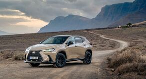 Lexus NX 2022