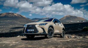 Lexus NX 2022