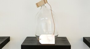 MENTOR SAM BARON WORK IMAGES